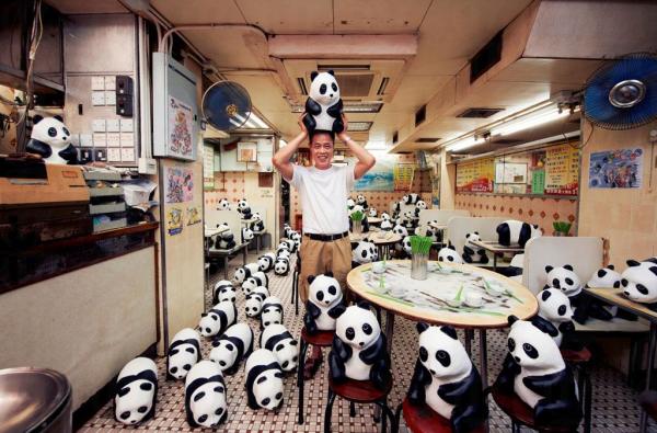 1600熊貓去深水埗探明哥，把整間舖都坐滿了。